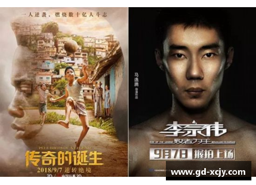 《跨越国界的传奇：中外体育明星的奋斗与荣耀故事》