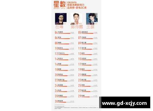 体育明星的个人魅力与成功的关系及其对粉丝的影响解析